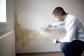 Best Environmental Consulting for Mold Prevention  in Reedsburg, WI